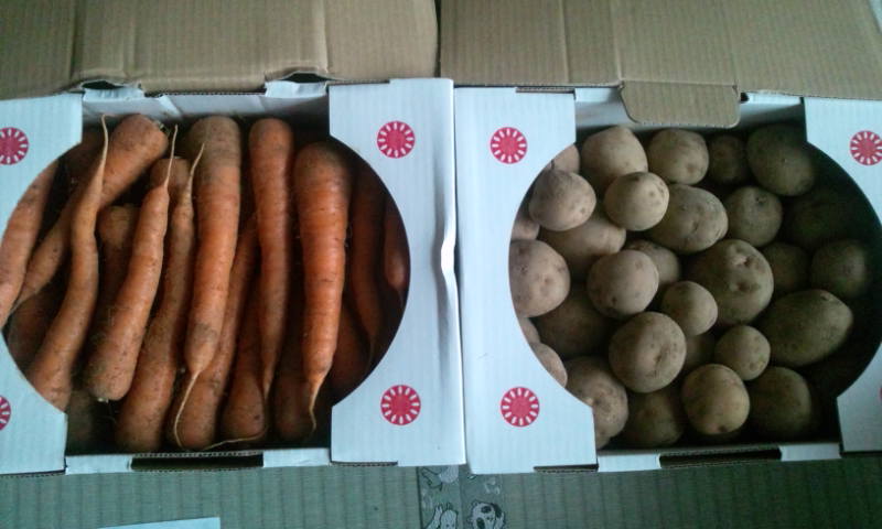 20110721162310.jpg