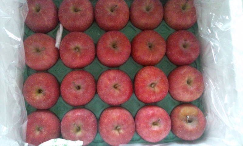 20110721165130.jpg
