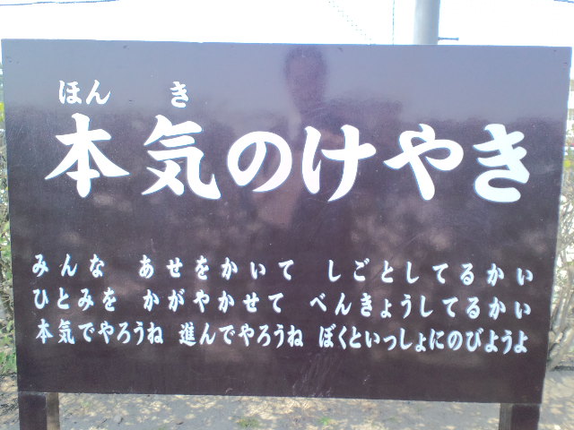 CA3C0142.jpg