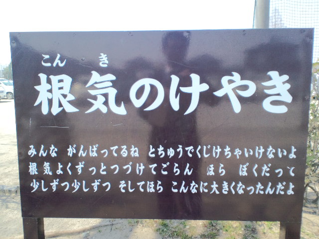 CA3C0143.jpg
