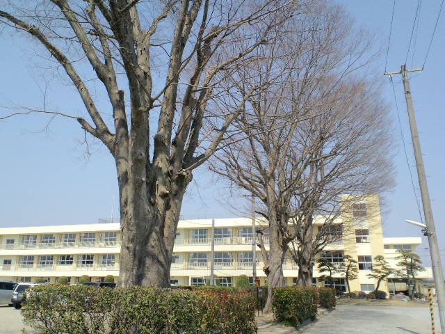 CA3C0144.jpg
