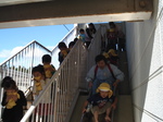 Dsc02010.jpg