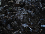 Dsc02085.jpg