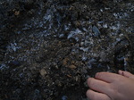 Dsc02086.jpg